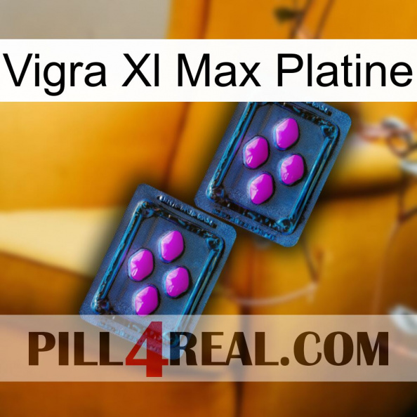 Vigra Xl Max Platinum 03